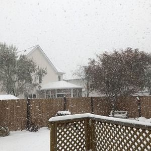 Meet your Posher, Collette